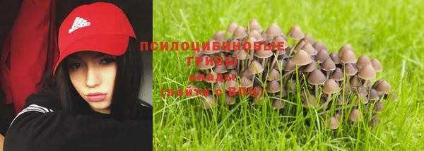 мескалин Баксан